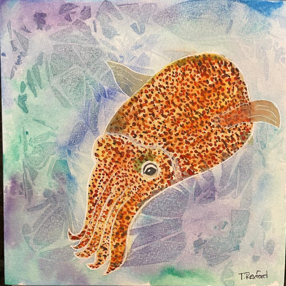Hand painted watercolor original painting baby cuttlefish